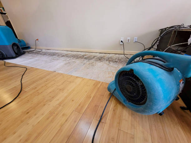 Professional Structural Drying technician working in Street, MD